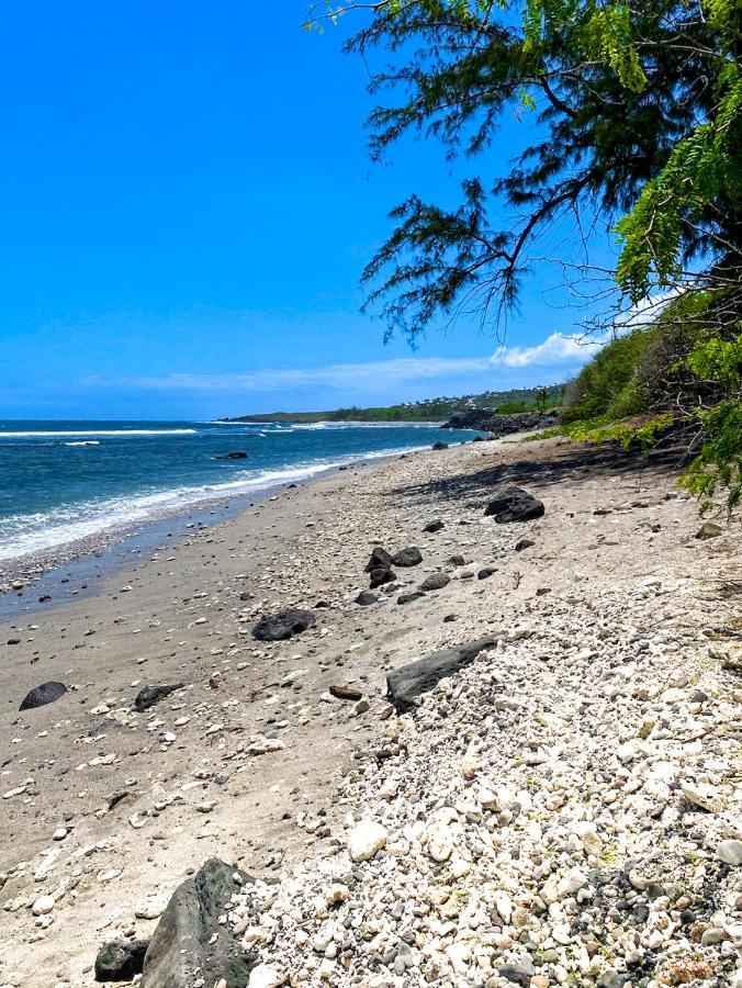 Le Petrel Bleu - Appartement Sur La Plage Des Tortues A Saint-Leu Eksteriør bilde