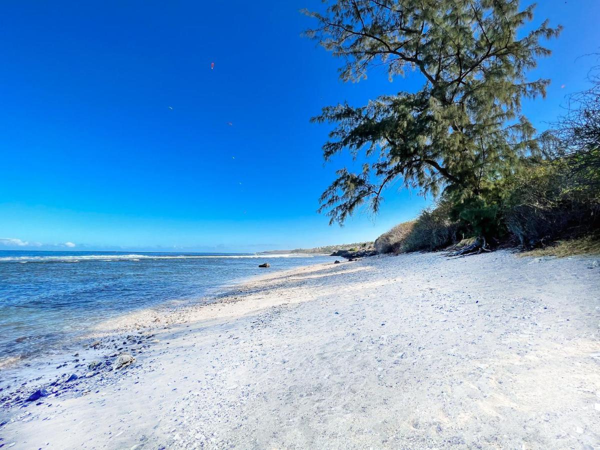 Le Petrel Bleu - Appartement Sur La Plage Des Tortues A Saint-Leu Eksteriør bilde